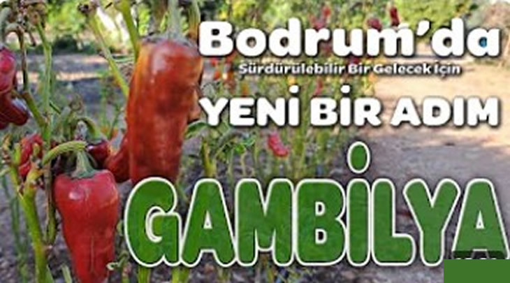 Bodrum’da Sürdürülebilir Bir Gelecek İçin Yeni Bir Adım: Gambilya